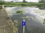 Bardney Lock L1